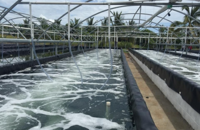江西九江某水產(chǎn)養(yǎng)殖場凈水項(xiàng)目